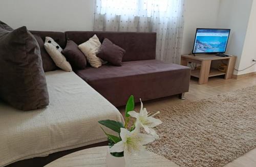 Golubovina Apartment | ASSA Apartments Budva Center No 1