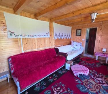 Plav Cabin | Aurora Heights