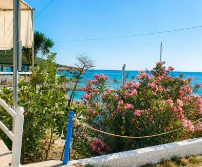 Qazim Pali Apartment | Beach Rooms Borsh