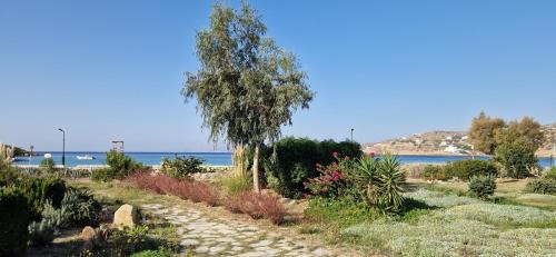 Ios Villa | Beachfront Ios Villa