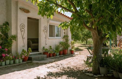 Pythagorio House | Beautiful cottage house at Mesokampos