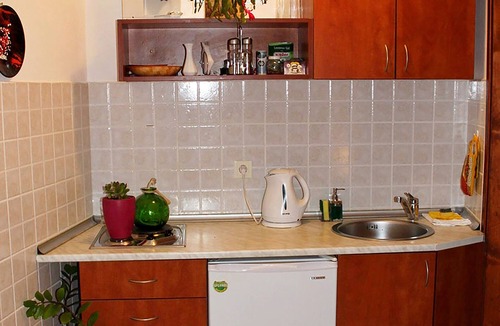 Sveti Stefan Apartment | Beautiful studio on ground floor in shadow of vines, Sveti Stefan