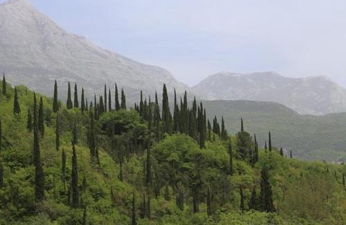 Grahovo Bed & Breakfast | BELAIR Rooms Montenegro