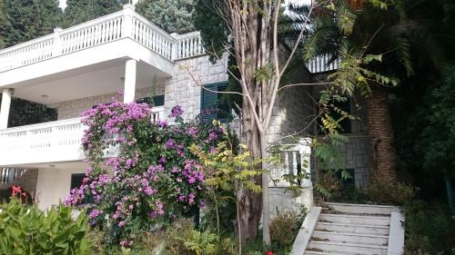 Sutomore Apartment | BG Villa Apartment XL