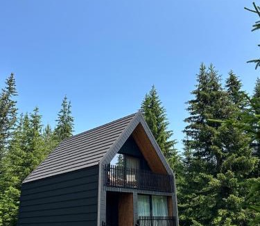 Zabljak Ski Chalet | Black Chalet