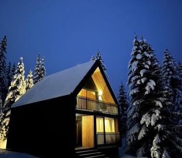 Zabljak Ski Chalet | Black Chalet