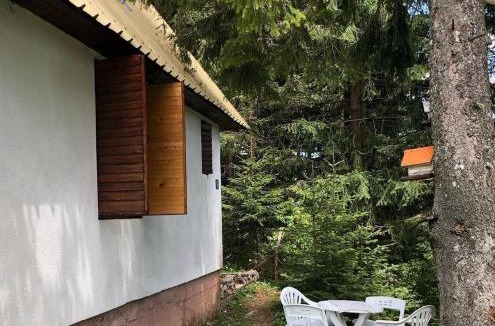 Pitomine House | Black Lake House Dajovic