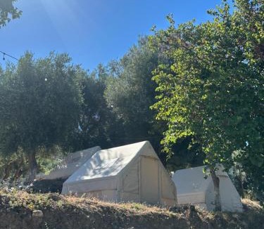 Qazim Pali Other | Bocana Camping Borsh