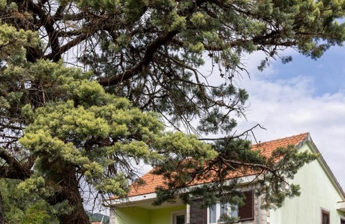 Bijela Apartment | Boka Garden