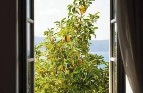 Herceg Novi Apartment | Bonaca Studio – A Peaceful Retreat with Stunning Views