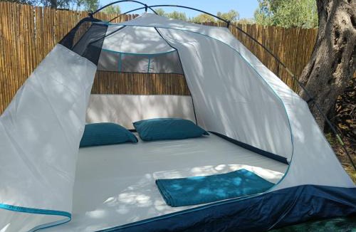 Borsh Other | Borsh Olive Camping