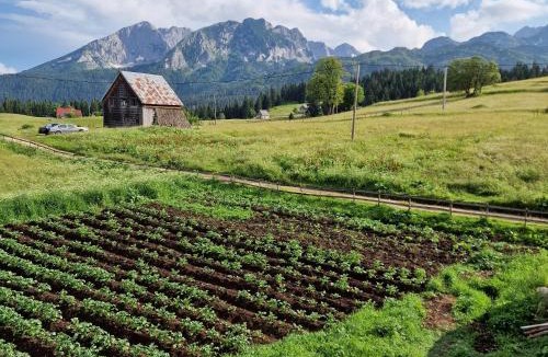 Zabljak House | Bosaca