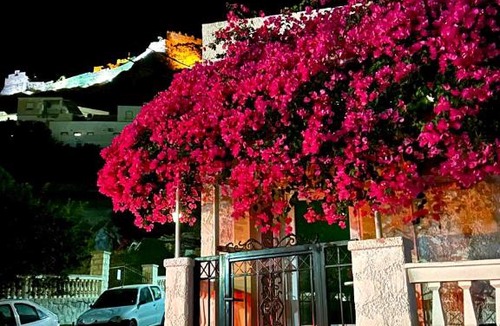 Panteli Apartment | Bougainvillea Nest Panteli, Leros
