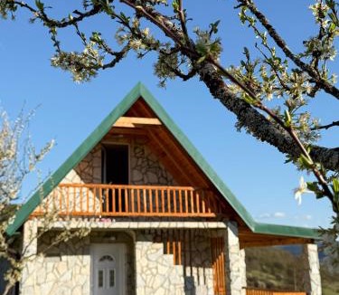 Montenegro Villa | Bratosavina North House