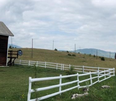 Tepacko Polje House | brown bear lodge