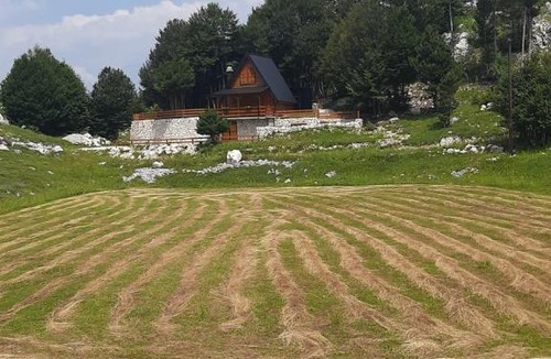Cetinje House | Brvnara Lovcenski Mir