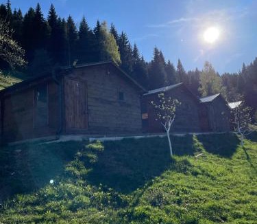 Plav Cabin | Bujtina Selimaj
