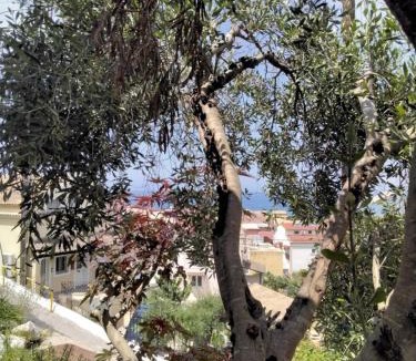 Agios Gordios House | Bungalow nefeli