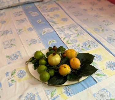 Durres House | Bushi Rooms- Garden and Free Parking near Beach