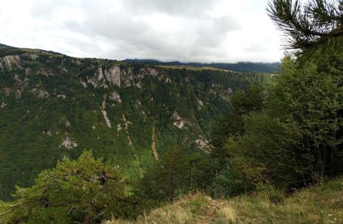 Njegovuđa House | Camp Apartmani Tara