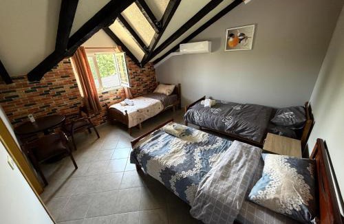 Shkoder County Other | Camping Culaj