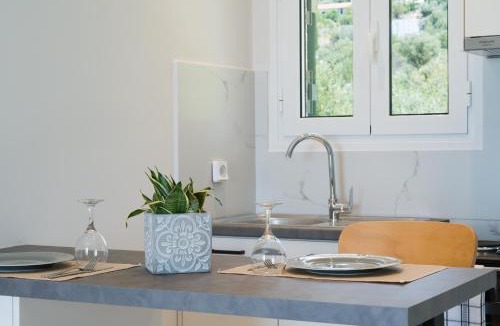 Leivathos Apartment | Captain's Apartments in Olive Grove 2