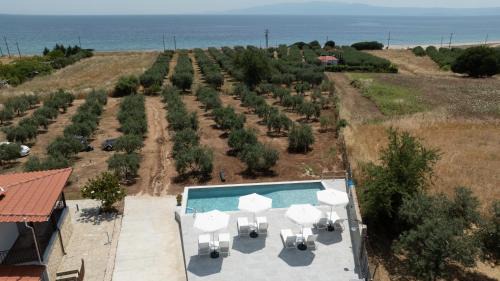 Aristotelis House | Casa Del Olivar