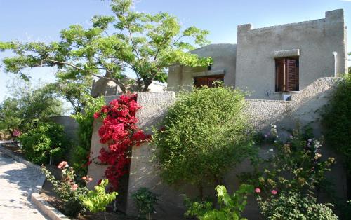 Mavrovouni Apartment | Cavo Grosso Bungalows