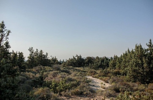 Naxos Villa | Cedar Forest Oceanfront Villa, 4BR Private Pool