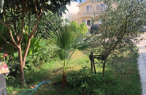 Ulcinj Ski Chalet | Chalet 500 meter from the "Grate Beach",surounded with a rich and green Garden