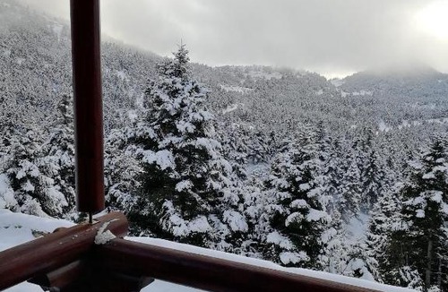 Kalavrita Ski Chalet | Chalet Aroania
