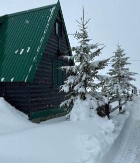 Zabljak Ski Chalet | Chalet Siljak