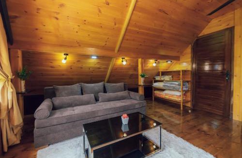 Montenegro Ski Chalet | Chalet Tara