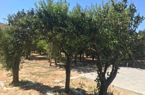 Chios Town Apartment | Chios Kampos Apartments
