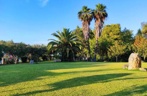 Paliouri Apartment | Chrouso Apartments