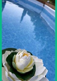Neromilos Apartment | Chrysanthi's House