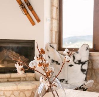Distomo-Arachova-Antikyra Ski Chalet | Cloud9 Chalet