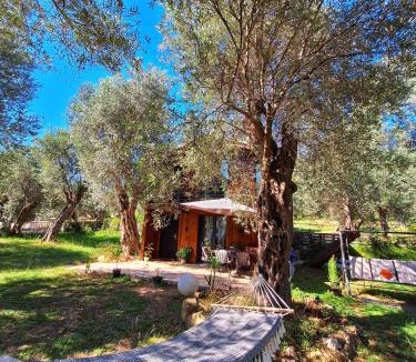 Ulcinj House | Coratina Cottage