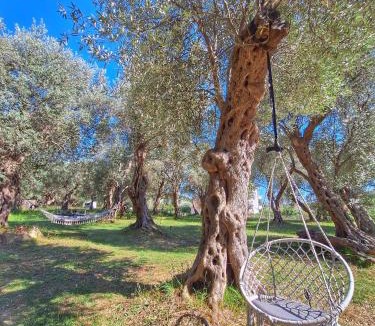 Ulcinj House | Coratina Cottage