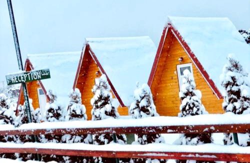 Zabljak Ski Chalet | Cottage Borje