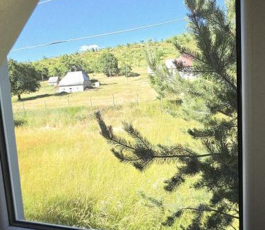 Savnik Apartment | Cottage in nature Bare, Savnik