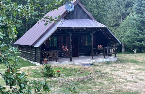 Pricelje House | Cottage in the wild Pješčanica