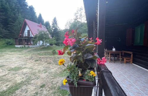 Pricelje House | Cottage in the wild Pješčanica