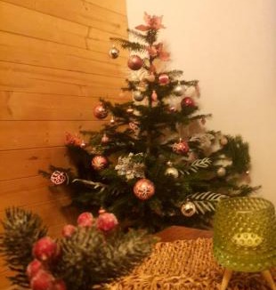 Zabljak Ski Chalet | Cottage Mila