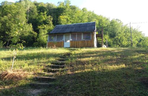 Ninkovici House | Country house Tara Orasac