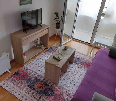 Golubovina Apartment | Cozy Apartment with Private Garage - Walk to City Center