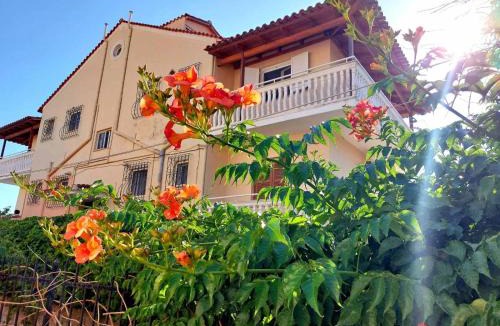 Agios Gordios Apartment | Dantina Agios Gordios