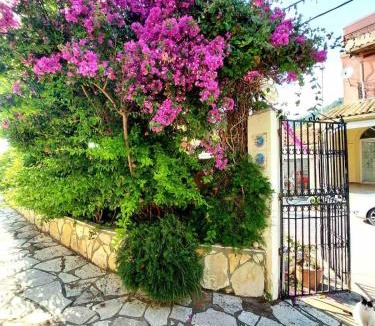 Agios Gordios Apartment | Dantina Agios Gordios