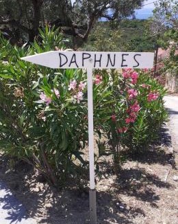 Ratzakli Apartment | Daphnes Apartments