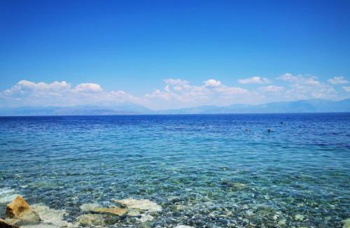 Evrostina Apartment | Dimos Apartments